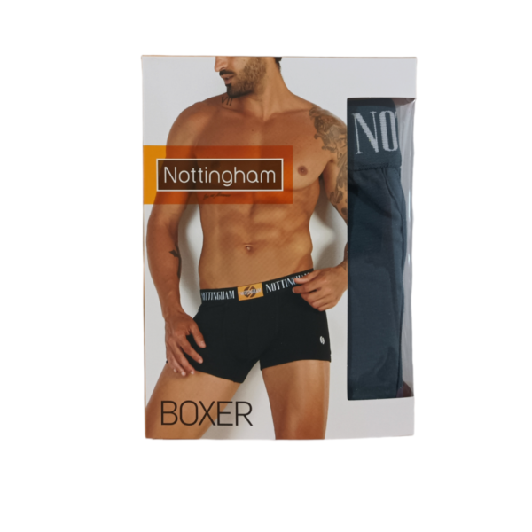 nottngham boxer Ν23395 (5)