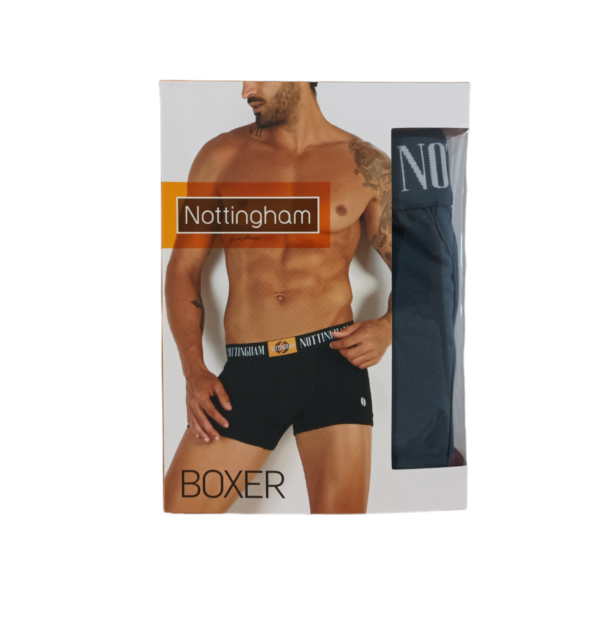 nottngham boxer Ν23395 (5)