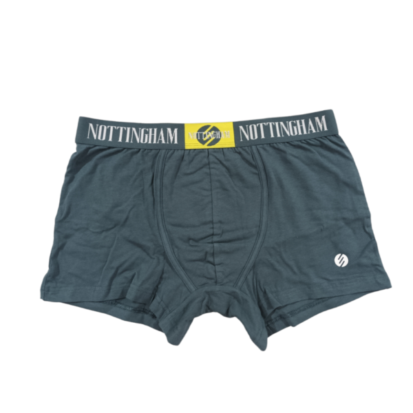 nottngham boxer Ν23395 (8)