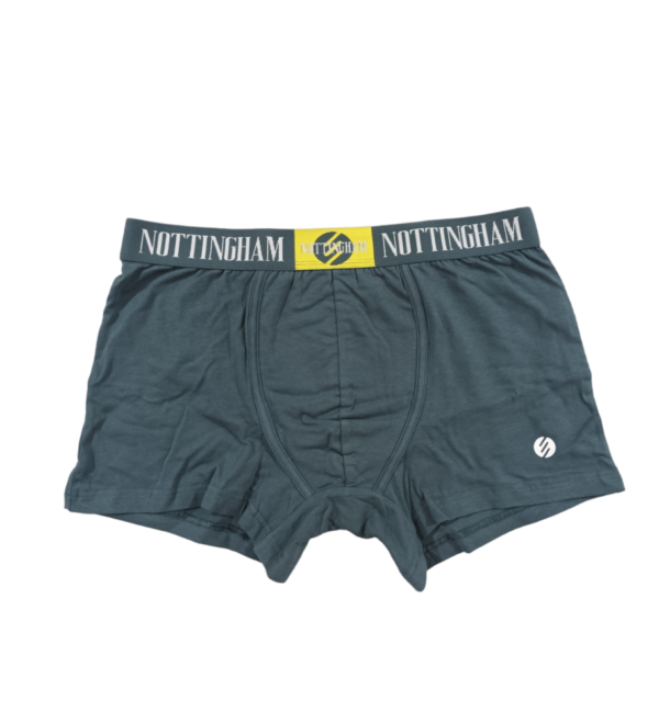 nottngham boxer Ν23395 (8)